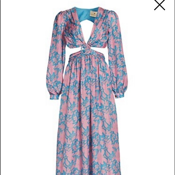 Dresses & Skirts - Hannah Artwear dress